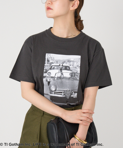 tシャツ LIFE PICTURE COLLECTION　PHOTO Tシャツ レディース