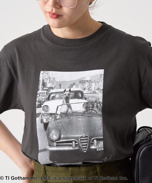 tシャツ LIFE PICTURE COLLECTION　PHOTO Tシャツ レディース IENA tシャツ LIFE PICTURE COLLECTION PHOTO Tシャツ
