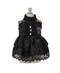 犬 服 ANNA SUI/サテンドレスの詳細画像1