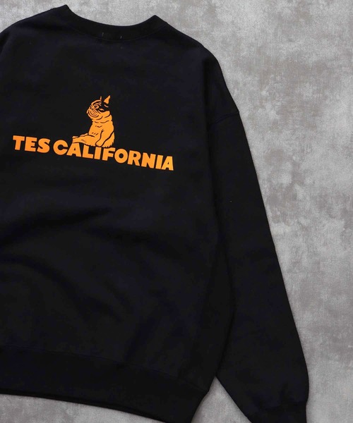 The Endless Summer（エンドレスサマー） トレーナー スウェット TES