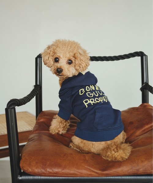 common gull products. 犬 服 ホタテ色のフーディー : ZOZOTOWN Yahoo