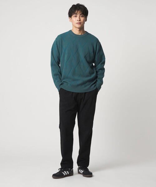 A DAY IN THE LIFE セーター ニット ミドルゲージ リンクス クルー