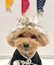 ONEKOSAMA OINUSAMA（おねこさま・おいぬさま） 犬 服 ペット用