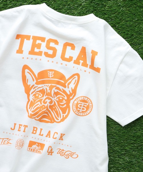 The Endless Summer tシャツ TES BUHI LEAGUE T-SHIRT / Tシャツ