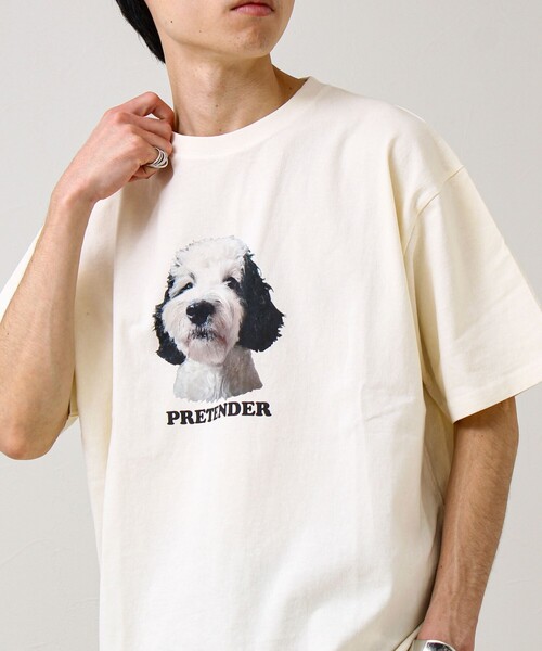 GLOSTER（グロスター） tシャツ 「あの名作をオマージュ」犬猫実写風
