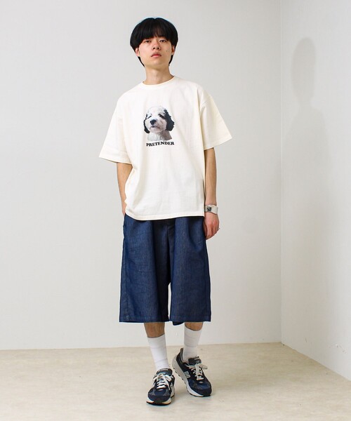 GLOSTER（グロスター） tシャツ 「あの名作をオマージュ」犬猫実写風