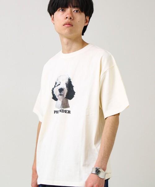 GLOSTER（グロスター） tシャツ 「あの名作をオマージュ」犬猫実写風