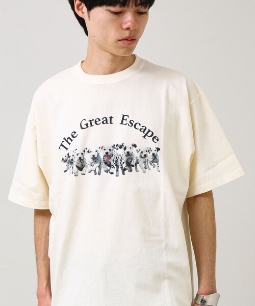 GLOSTER（グロスター） tシャツ 「あの名作をオマージュ」犬猫実写風