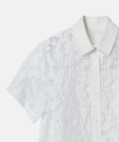LE CIEL BLEU ワンピース シアージャカードドレス / Sheer