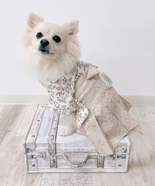 ONEKOSAMA OINUSAMA（おねこさま・おいぬさま） 犬 服 トワルドジュイ