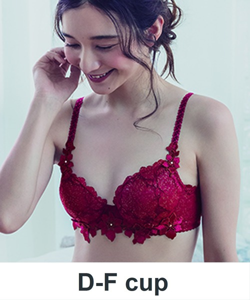 ブラ 総レース仕上げでレースの美しさを堪能できる贅沢なデザインのブラ ３ ４カップ D Fcup Zozotown Paypayモール店 通販 Paypayモール