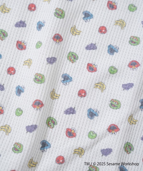 FRUIT OF THE LOOM（フルーツオブザルーム） 「FRUIT OF THE LOOM