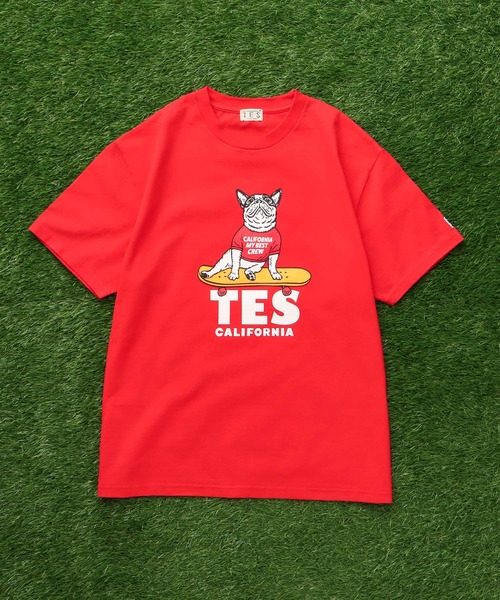 「The Endless Summer」 半袖Tシャツ LARGE レッド メンズ_画像6