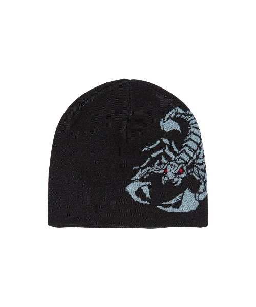 WASTED PARIS（ウェイステッドパリス） ニット帽 ニットキャップ