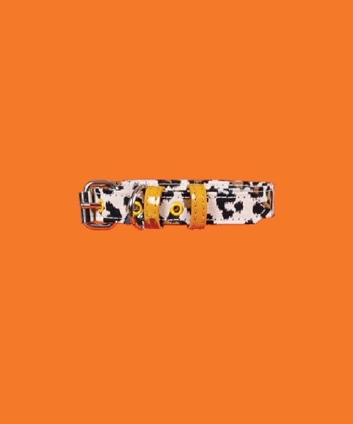 犬 ハーネス リード LEOPARD CANVAS COLLAR | WARE OF THE DOG