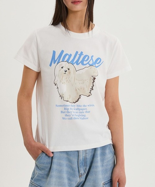WaiKei tシャツ 「UNISEX」Wai Kei／マルチーズイラストT メンズ