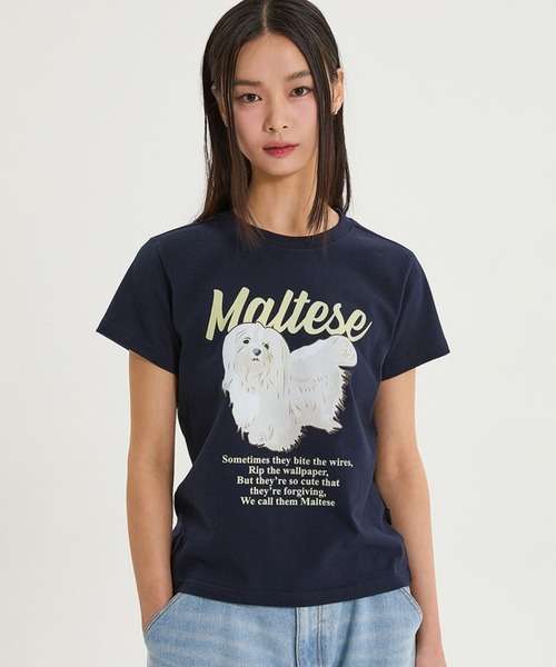 ☆送料・関税込☆Wai Kei★Uniform collar tshirt★Tシャツ★ BUY WAI KEI T-Shirt STAR LOGO COLLAR JERSEY HALF SLEEVE