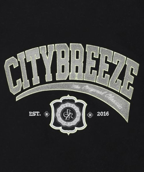 ジャケット citybreeze Wool Duffel Varsity Jumper_GREY CITYBREEZE スタジャン WOOL PREPPY VARSITY JACKET レディース
