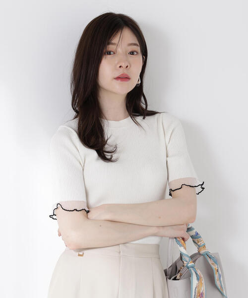 PROPORTION BODY DRESSING ニット セーター 部分シアー半袖