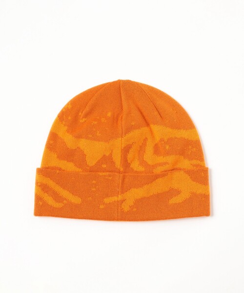 ARC'TERYX ニット帽 ニットキャップ ARC'TERYX / Grotto Toque