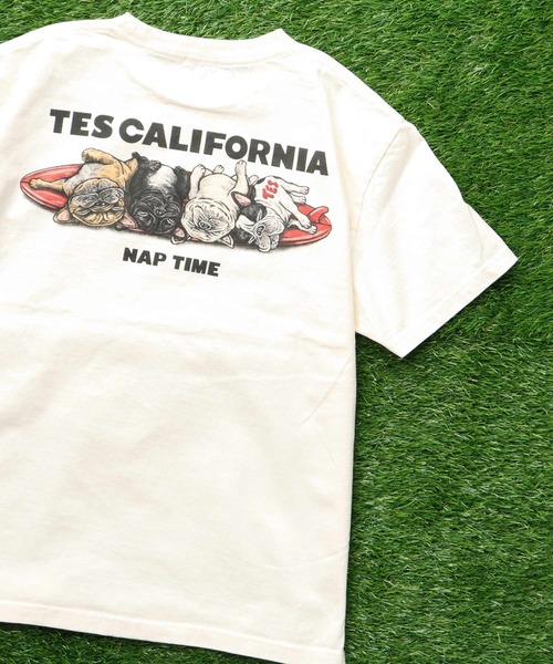 「The Endless Summer」 「tes」半袖Tシャツ LARGE アイボリー メンズ_画像5