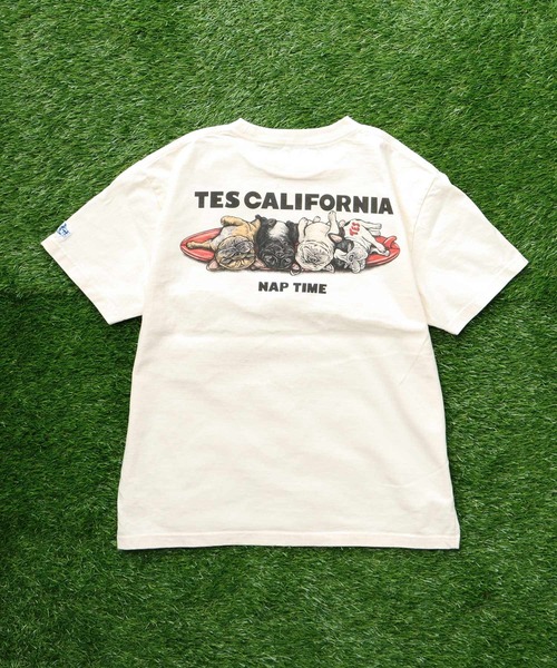 「The Endless Summer」 「tes」半袖Tシャツ LARGE アイボリー メンズ_画像7