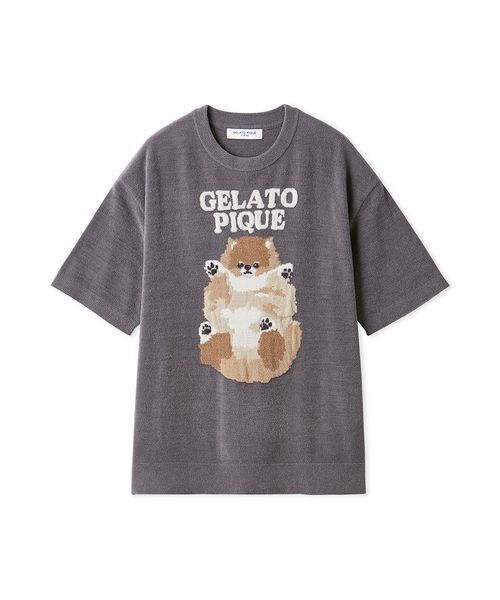 ジェラートピケ　ドッグジャガードプルオーバー　ポメラニアン　M ジェラートピケ gelato pique 【CAT&DOG】ポメラニアジャガードプルー