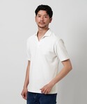 ポロシャツ 半袖 「WEB限定 WARDROB...の詳細画像4
