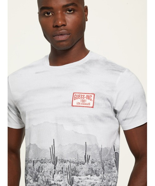 「Guess」 半袖Tシャツ LARGE ライトグレー メンズ_画像3