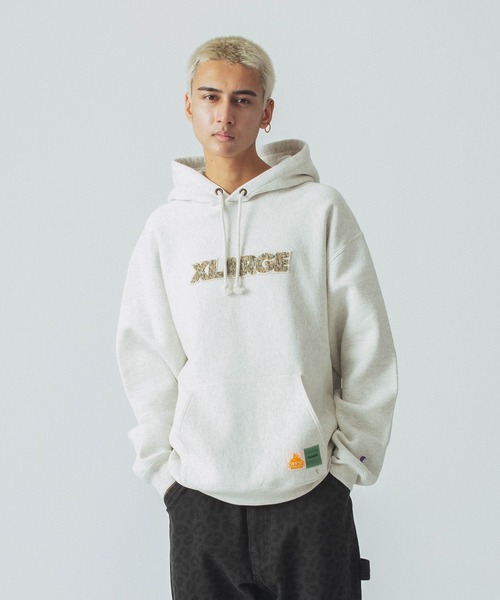 「Champion」 プルオーバーパーカー L ブラウン メンズ