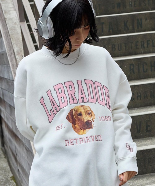 「Labrador Retriever」 スウェットカットソー L グレイッシュベージュ メンズ_画像6