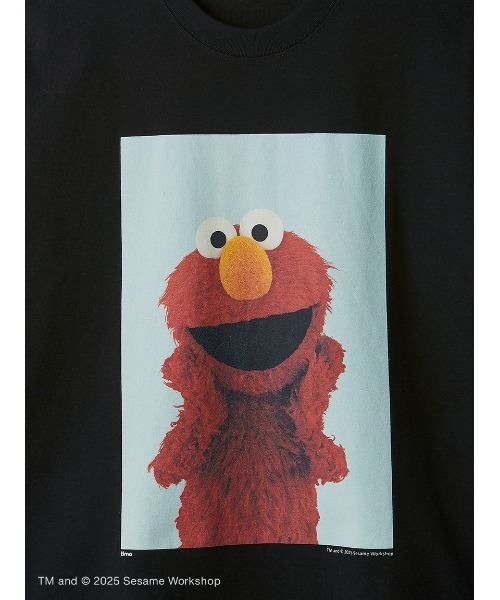 SESAME STREET tシャツ 「UNISEX」フォトアートTシャツ