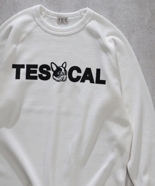 「The Endless Summer」 長袖Tシャツ MEDIUM ホワイト メンズ_画像9