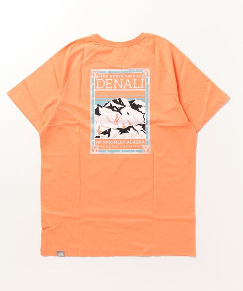 ノースフェイス　Tシャツ THE NORTH FACE tシャツ 「THE FACE」ノースフェイス S/S FACES