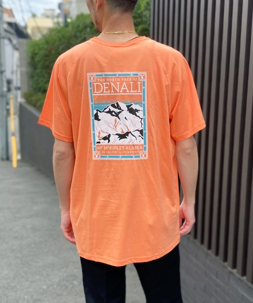 tシャツ 「THE NORTH FACE」ノースフェイス S/S NORTH FACES TEE ハーフドーム ロゴTシャツ NF00CEQ8 メンズ