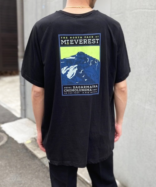 THE NORTH FACE tシャツ 「THE FACE」ノースフェイス S/S FACES