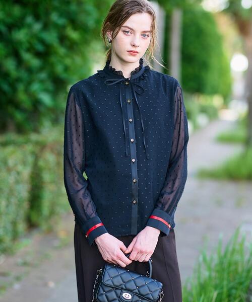 DRESSTERIOR（ドレステリア） ブラウス シャツ 「洗える/シアー素材