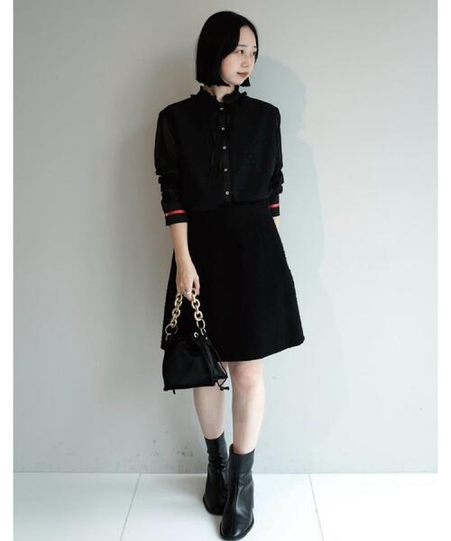 DRESSTERIOR（ドレステリア） ブラウス シャツ 「洗える/シアー素材