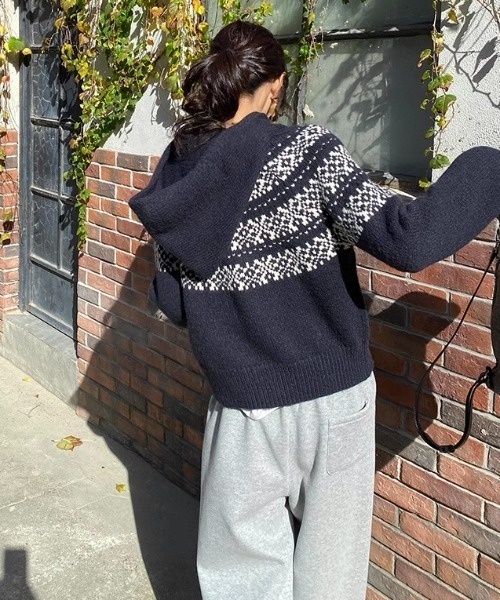 LADY LIKE（レディライク） ニット セーター ノルディック柄ダブル