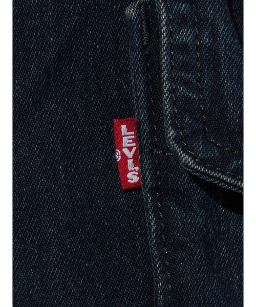 Levi's（リーバイス） カーゴパンツ BAGGY FIELD カーゴパンツ メンズ