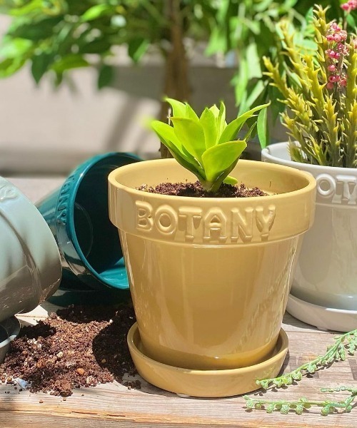 DULTON（ダルトン） 花瓶 BOTANY POT/5号 植木鉢 : ZOZOTOWN Yahoo!店