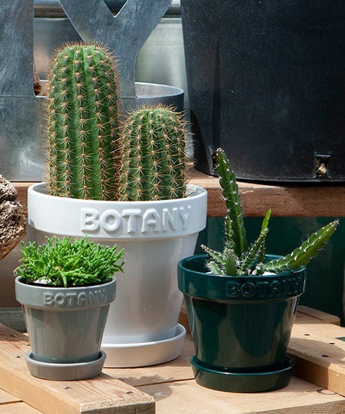 DULTON（ダルトン） 花瓶 BOTANY POT/5号 植木鉢 : ZOZOTOWN Yahoo!店