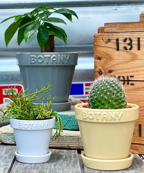 DULTON（ダルトン） 花瓶 BOTANY POT/5号 植木鉢 : ZOZOTOWN Yahoo!店