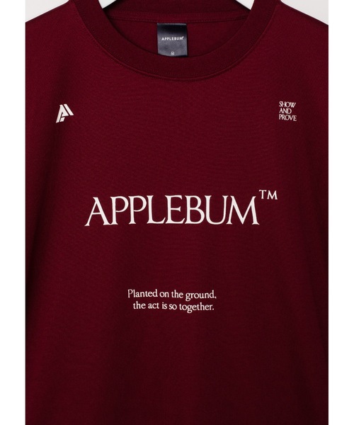 「APPLEBUM」 半袖Tシャツ LARGE バーガンディー メンズ_画像8