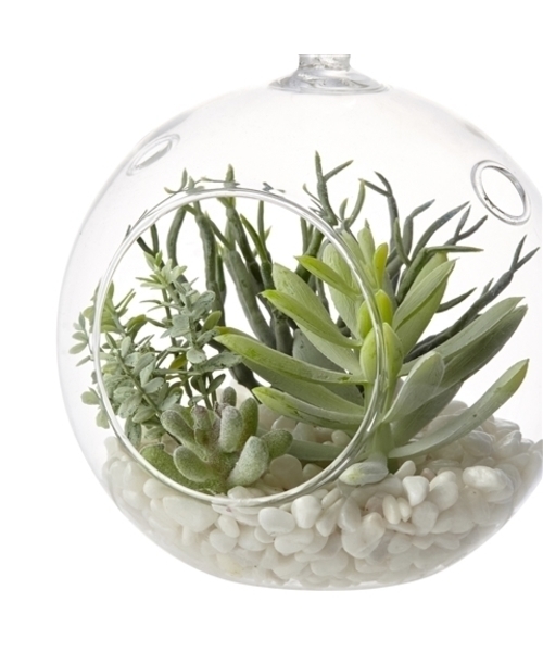 ★多肉 寄せ植え〜flower 29car  white〜★ Francfranc（フランフラン） インテリア カーロ 多肉寄せ植えポット