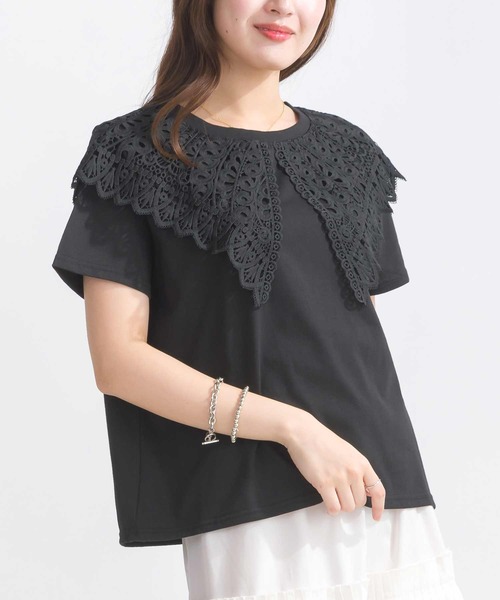 【ぴぴん】Annmiru ビックTシャツ 71ナンバリング ピグメント SUPER BIG T｜NUTMEG(ナツメグ)公式