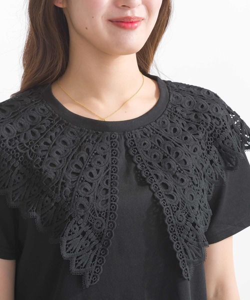 PICCIN tシャツ 「WEB限定」ビッグカラー天竺Tシャツ レディース