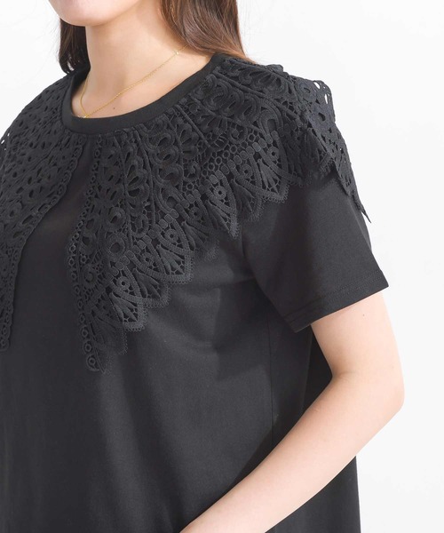 tシャツ コットンレース付きビッグTシャツ レディース PICCIN tシャツ 「WEB限定」ビッグカラー天竺Tシャツ レディース