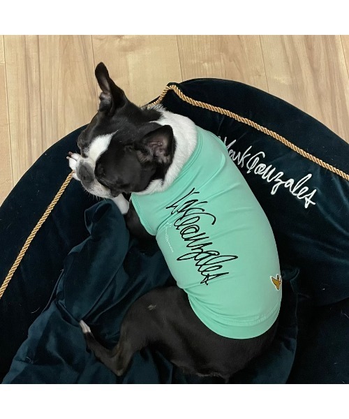 Mark Gonzales（マークゴンザレス） 犬 服 「MAiTE by Mark Gonzales