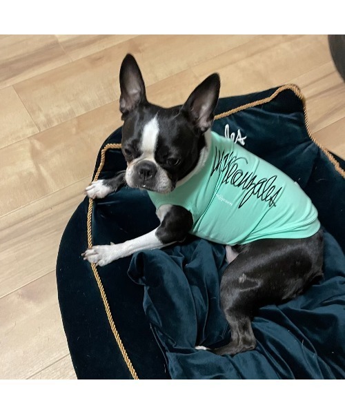 Mark Gonzales（マークゴンザレス） 犬 服 「MAiTE by Mark Gonzales